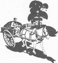 Age of Horse and Cart