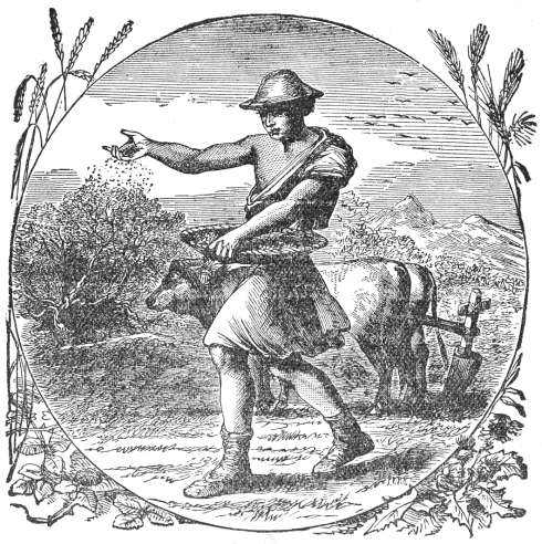 The Sower