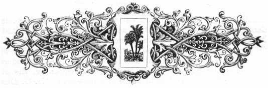 Typographic Ornament (Palms), page 105