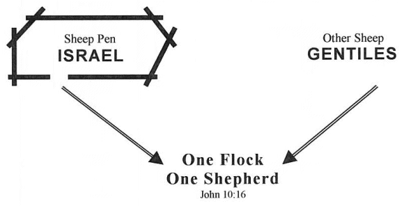 One Flock, One Shepherd. John 10:16